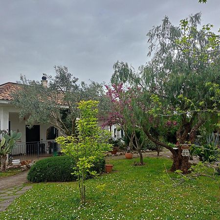 Hotel La Casa Di Fede Lanuvio Exteriér fotografie