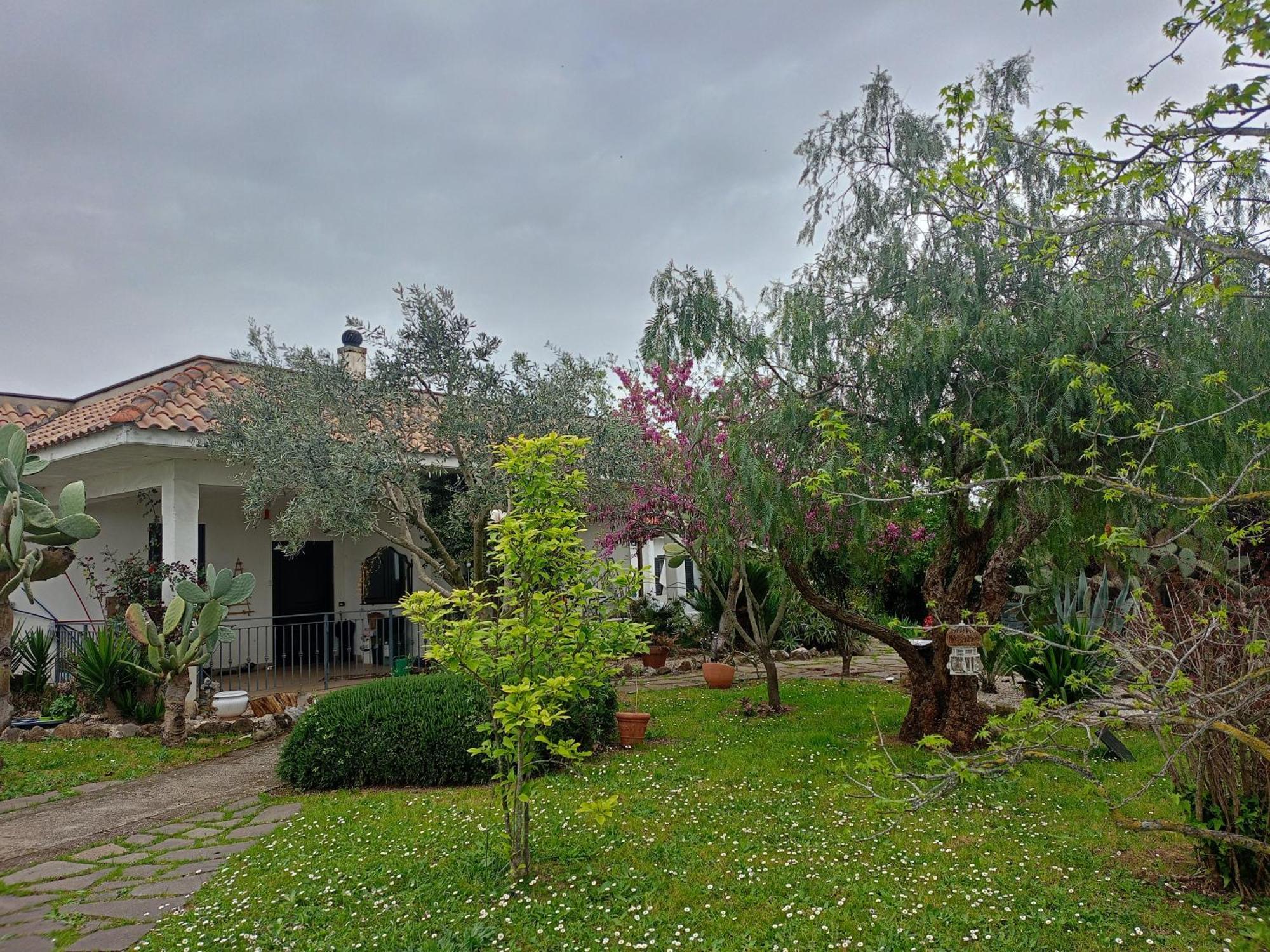 Hotel La Casa Di Fede Lanuvio Exteriér fotografie